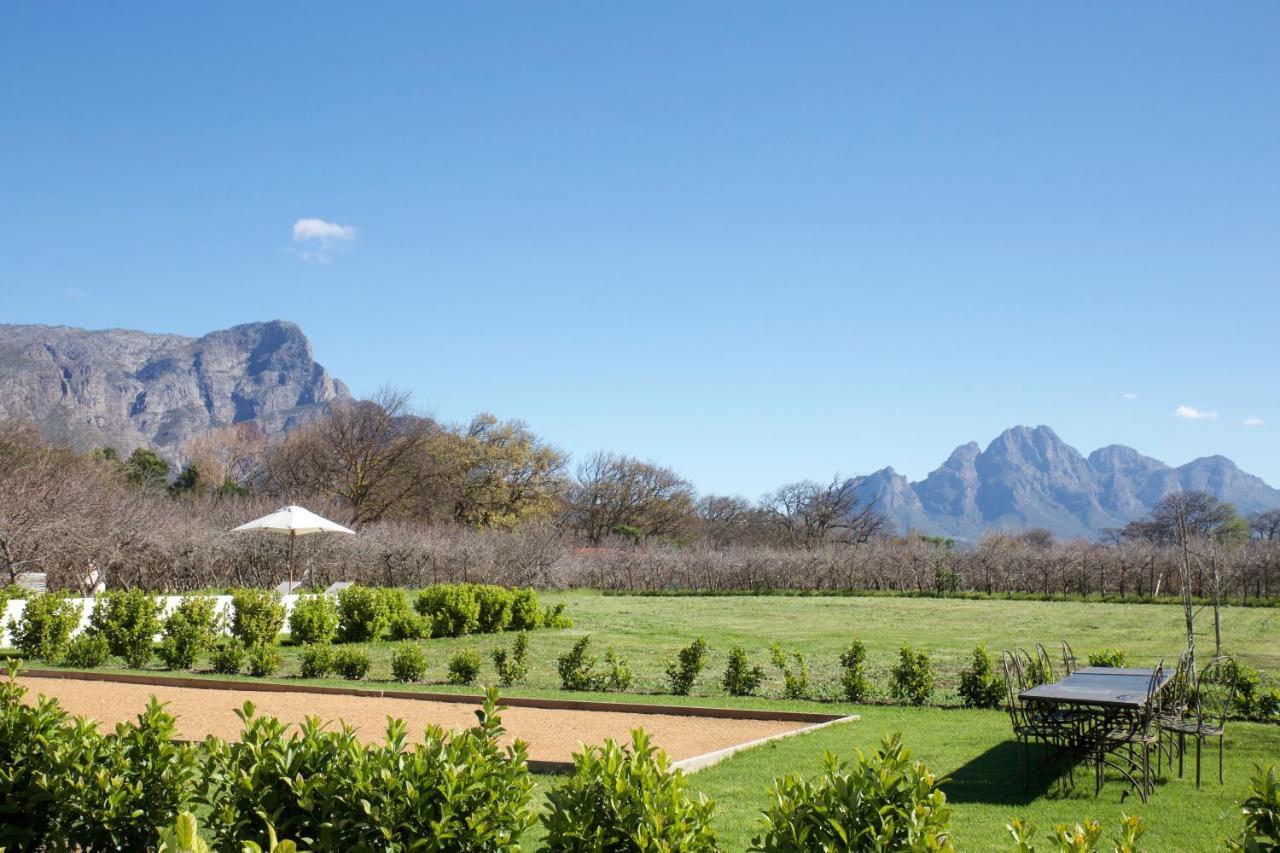 La Chataigne Wines & Guest Cottages Franschhoek Dış mekan fotoğraf