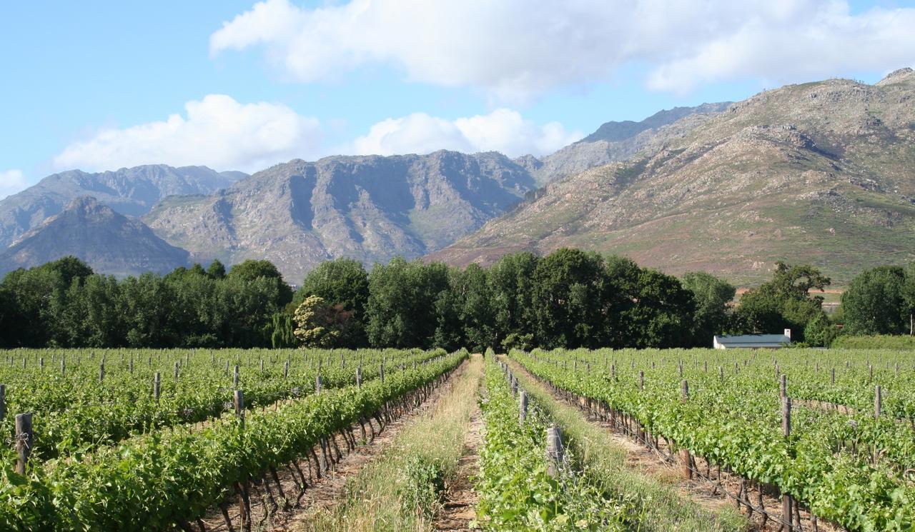 La Chataigne Wines & Guest Cottages Franschhoek Dış mekan fotoğraf