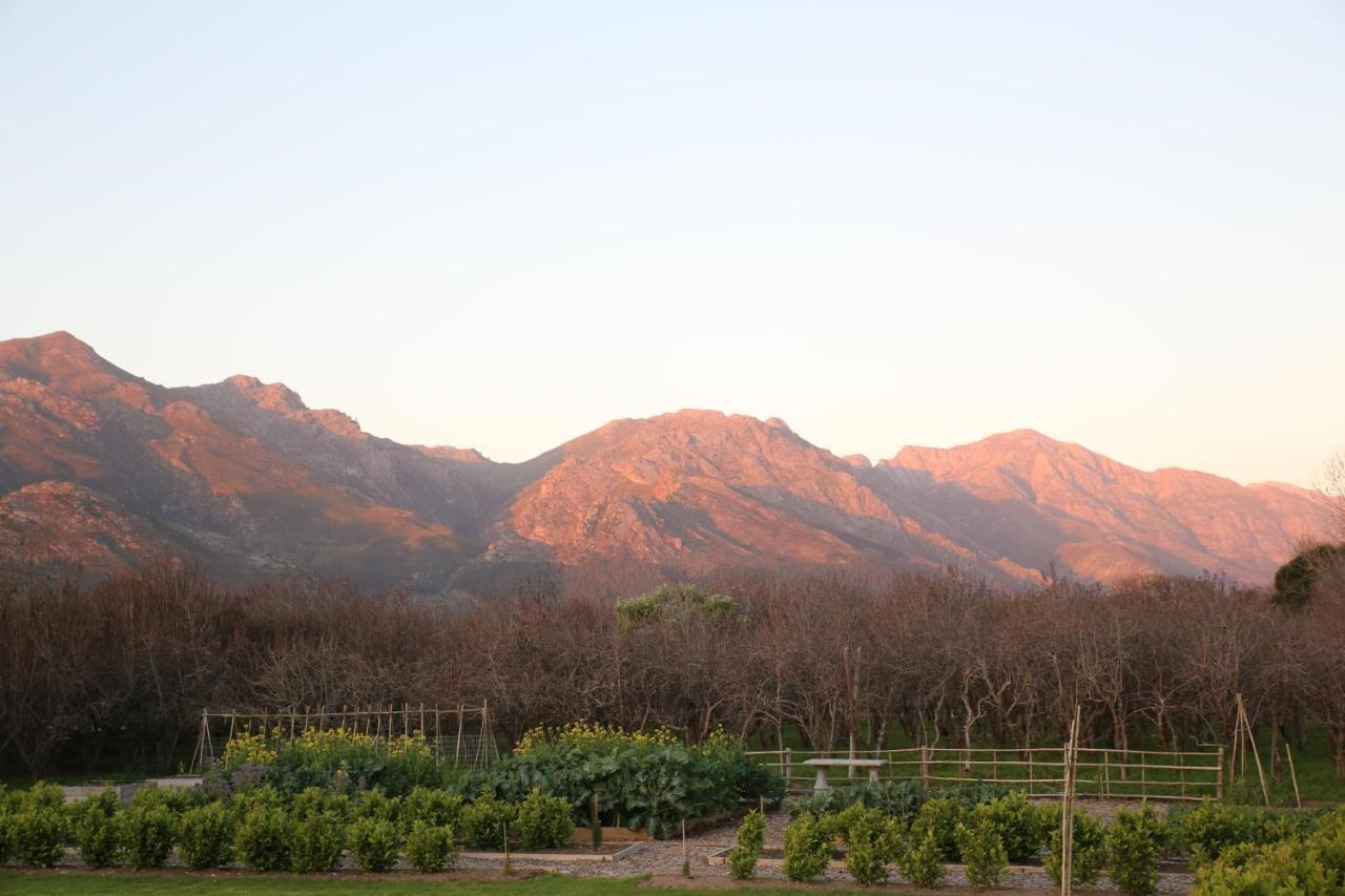 La Chataigne Wines & Guest Cottages Franschhoek Dış mekan fotoğraf