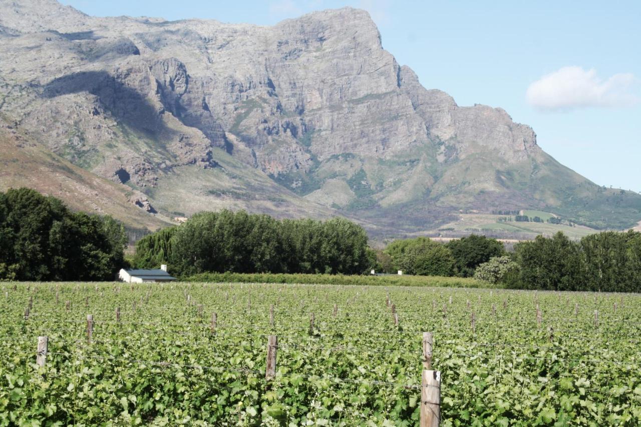 La Chataigne Wines & Guest Cottages Franschhoek Dış mekan fotoğraf